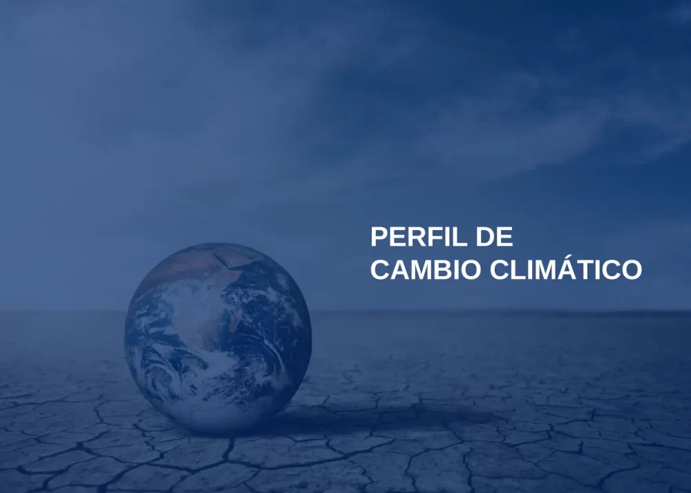 PERFIL DE CAMBIO CLIMÁTICO